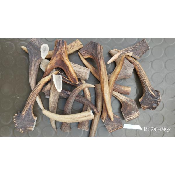 Un lot de plus d'un kilo de chutes de bois de cerf � rogner pour chien .