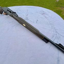 REMINGTON NYLON 66 seneca Green  22lr semi-automatique en 2+1