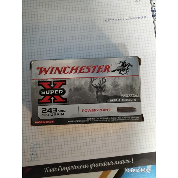 Bo�te de balle de 243 Winchester PowerPoint 100 g