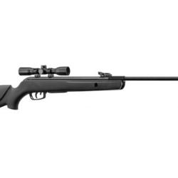 Carabine &agrave; Plomb Gamo Big Cat 1000-E - lunette 4x32