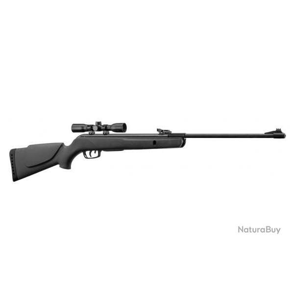 Carabine � Plomb Gamo Big Cat 1000-E - lunette 4x32