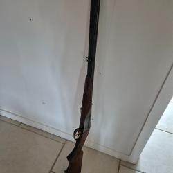 express baikail 45/70