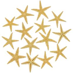 Etoiles de mer d&eacute;coration astropecten vappa 3 &agrave; 5 cm - Lot de 50