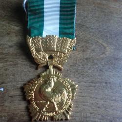 m&eacute;daille collectivit&eacute; locales