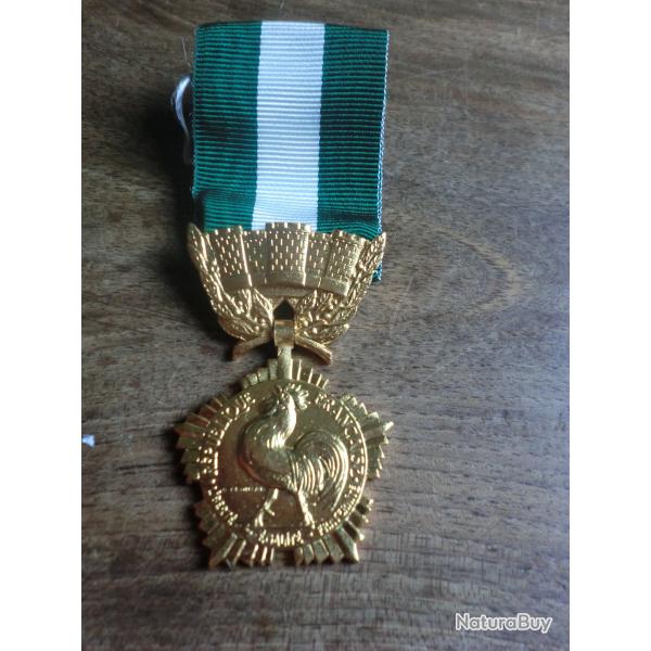 m�daille collectivit� locales