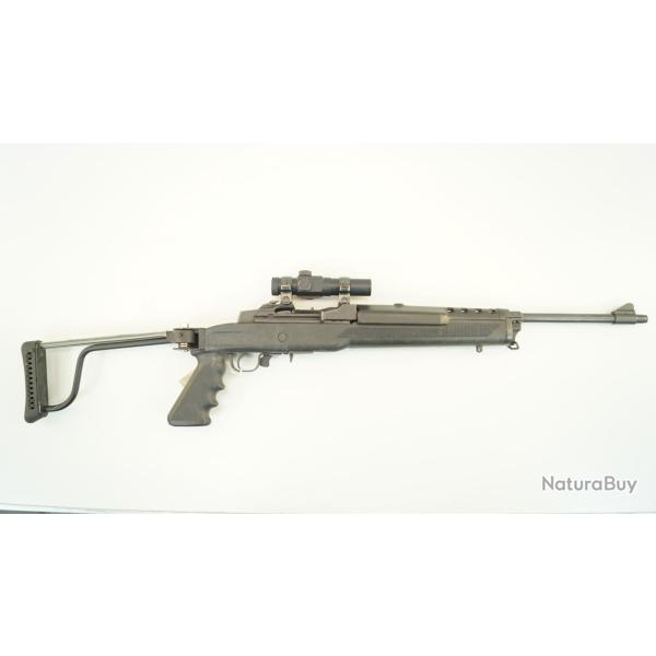 carabine ruger mini 14 222rem