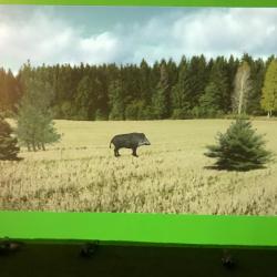 simulateur de tir marksman st 2