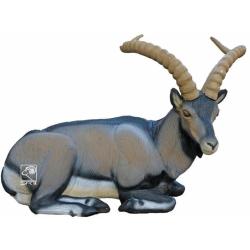 Ibex couch&eacute; Cible 3D - SRT