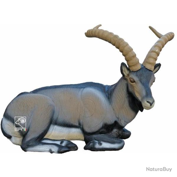 Ibex couch� Cible 3D - SRT