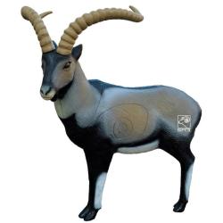 Ibex debout Cible 3D - SRT