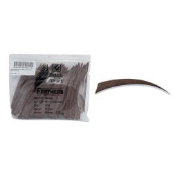 Plume Naturelle Shield 5"- Buck Trail - Marron