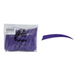Plume Naturelle Shield 5"- Buck Trail - Violet