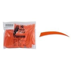 Plume Naturelle Shield 5"- Buck Trail - Orange