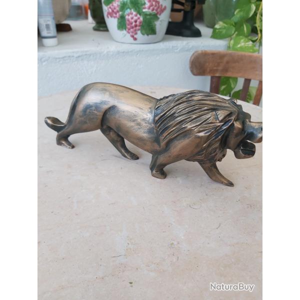 Lion rugissant