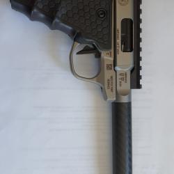 S&W Victoria Target Carbone 22LR