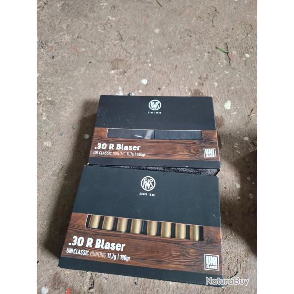 Balle 30 r blaser