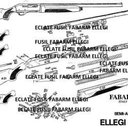 &eacute;clat&eacute; fusil FABARM ELLEGI (envoi par mail) - VENDU PAR JEPERCUTE (m2789)