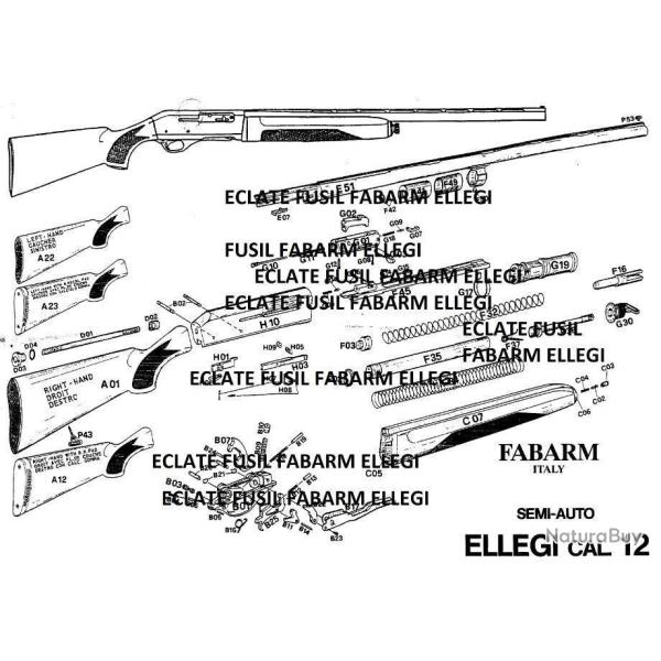 �clat� fusil FABARM ELLEGI (envoi par mail) - VENDU PAR JEPERCUTE (m2789)