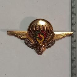 Br&eacute;vet d'instructeur parachutiste de l'arm&eacute;e za&iuml;roise (R&eacute;publique d&eacute;mocratique du Congo) - matricul&eacute;