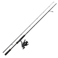 Combo Spinning Penn Wrath II Labrax 2 2m29 15 - 40g 3000 5,5kg 511g