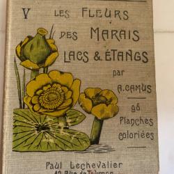 Les fleurs des marais lacs & &eacute;tangs 1921