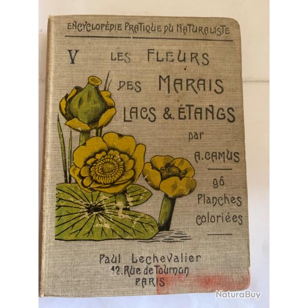 Les fleurs des marais lacs & �tangs 1921