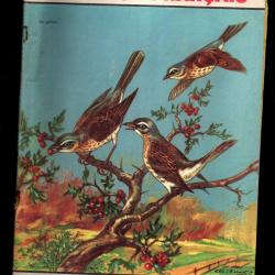 le chasseur fran&ccedil;ais 756 1960,  chasse , p&ecirc;che , maison, sant&eacute;, manufrance , jardinage , &eacute;levage ,