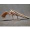 petites annonces chasse p&ecirc;che : Revolver Remington 1875, Cal. 44 Remington !!