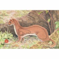 Blason animalier Hermine - JVD