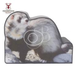 Cible Furet photo MFT 2D - BOOSTER