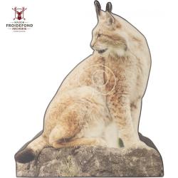 Cible Lynx photo MFT 2D - BOOSTER