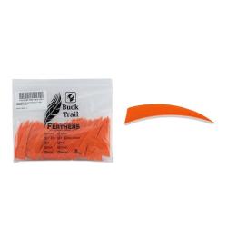 Plume Naturelle Shield 4" - Orange / BuckTrail / RW