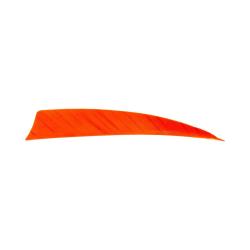 Plume Naturelle Shield 4" - Orange / Avalon / RW