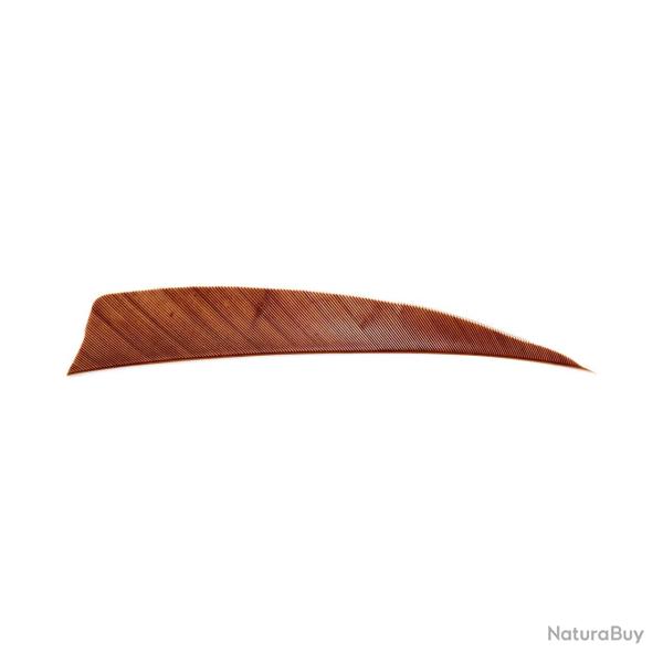 Plume Naturelle Shield 4" - Marron / Avalon / RW