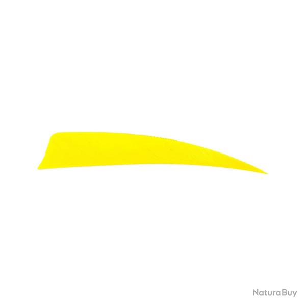 Plume Naturelle Shield 4" - Jaune / Avalon / RW