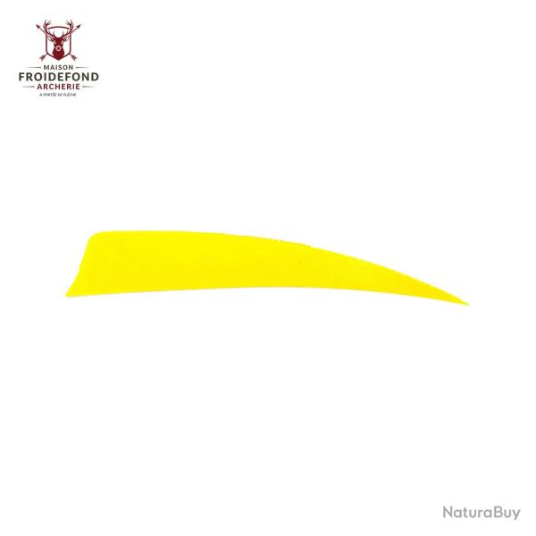 Plume Naturelle Shield 4" - Jaune / Avalon / RW