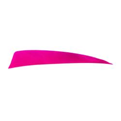 Plume Naturelle Shield 4" - Rose / Avalon / RW