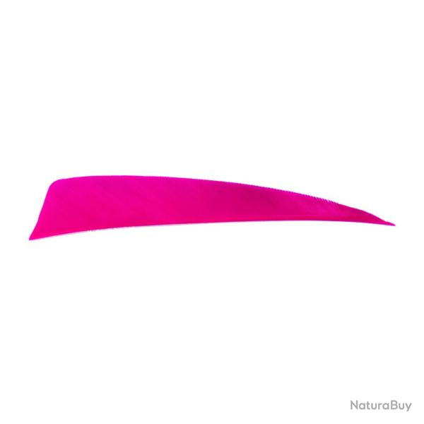 Plume Naturelle Shield 4" - Rose / Avalon / RW