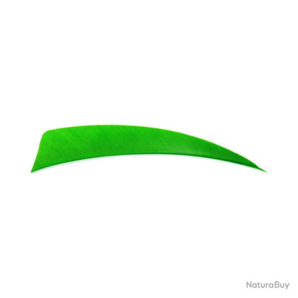 Plume Naturelle Shield 4" - Vert / Avalon / RW