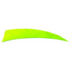 Plume Naturelle Shield 4" - Vert pomme / Avalon / RW