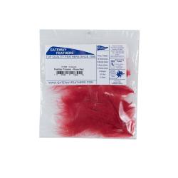 Traceur X12 - Gateway - Rouge