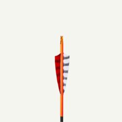 Wrap Fluo - BearPaw - Orange