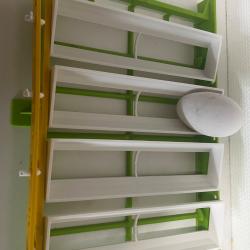 barrettes a oeufs d'oie