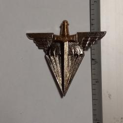 Insigne de l'&eacute;cole des troupes a&eacute;roport&eacute;es (ETAP) - Drago