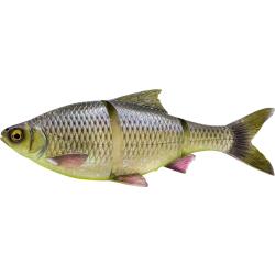 Leurre Souple Savage Gear 4D Line Thru Roach 18cm Moderate Sink Toxic Roach