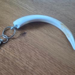 porte clef d&eacute;fense de sanglier