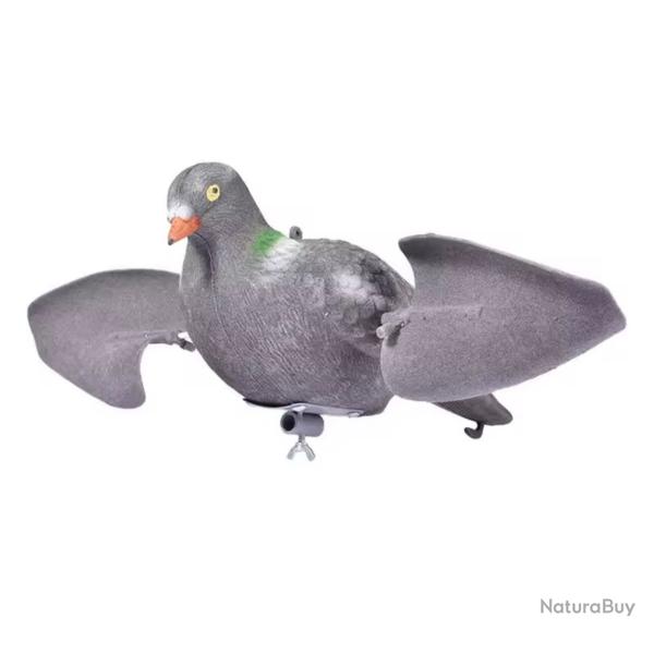 Pigeon de chasse ventil�es