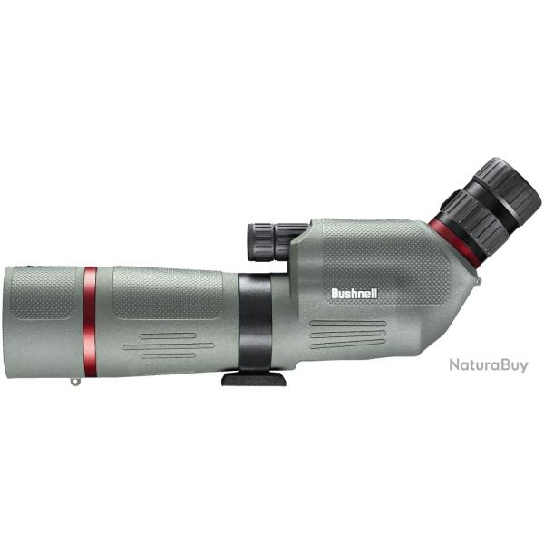 Bushnell Lunette terrestre Bushnell nitro 20-60x65 coud�e - R�f: FLSN206065GA