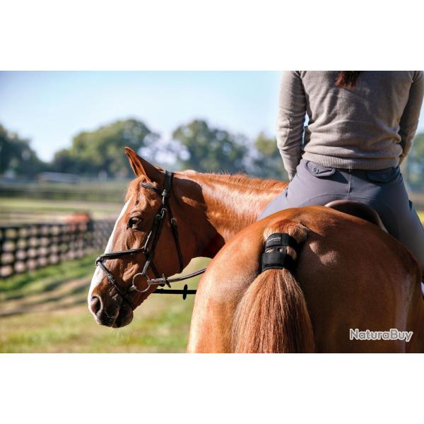Garmin Syst�me de sant� et de performance Garmin Blaze - R�f: GABLAZE