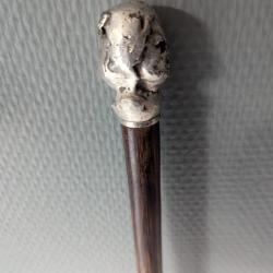 Canne XIXe pommeau buste bifacial m&eacute;tal argent&eacute; bois laurier collection
